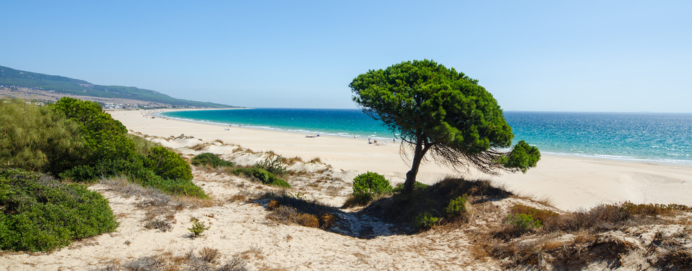 Plage Bolonia Espagne