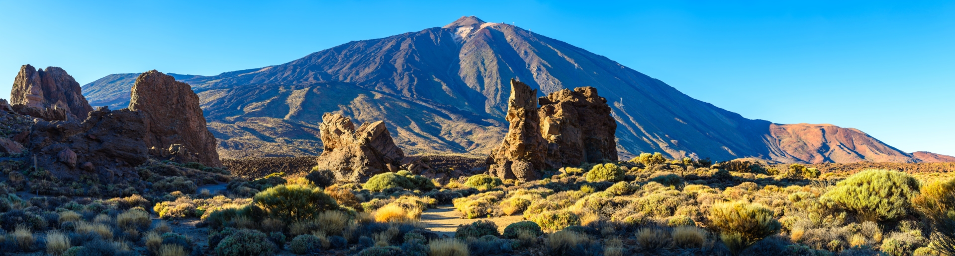 Parc Teide Tenerife