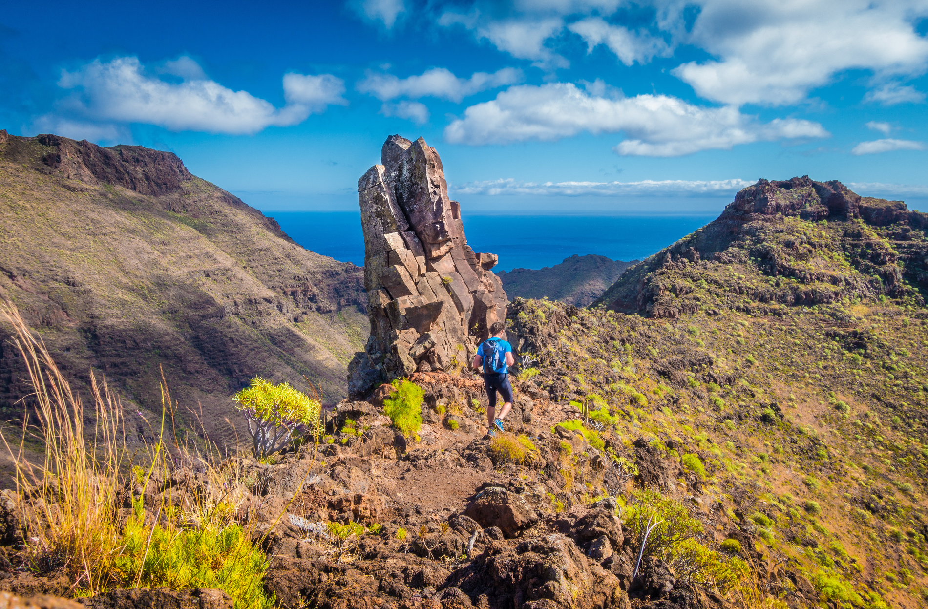 Canaries Espagne