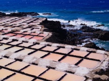 Marais Salants