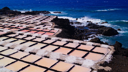 Marais Salants