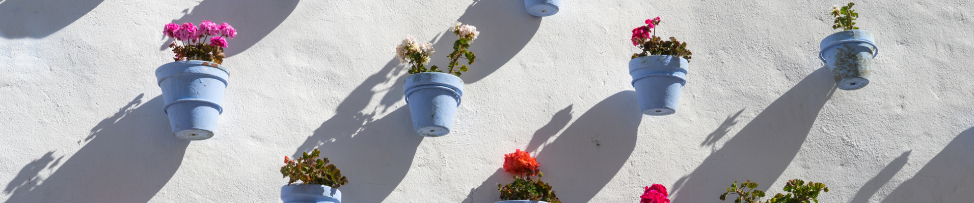 Pots Fleurs Andalousie