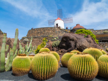 Jardin des Cactus