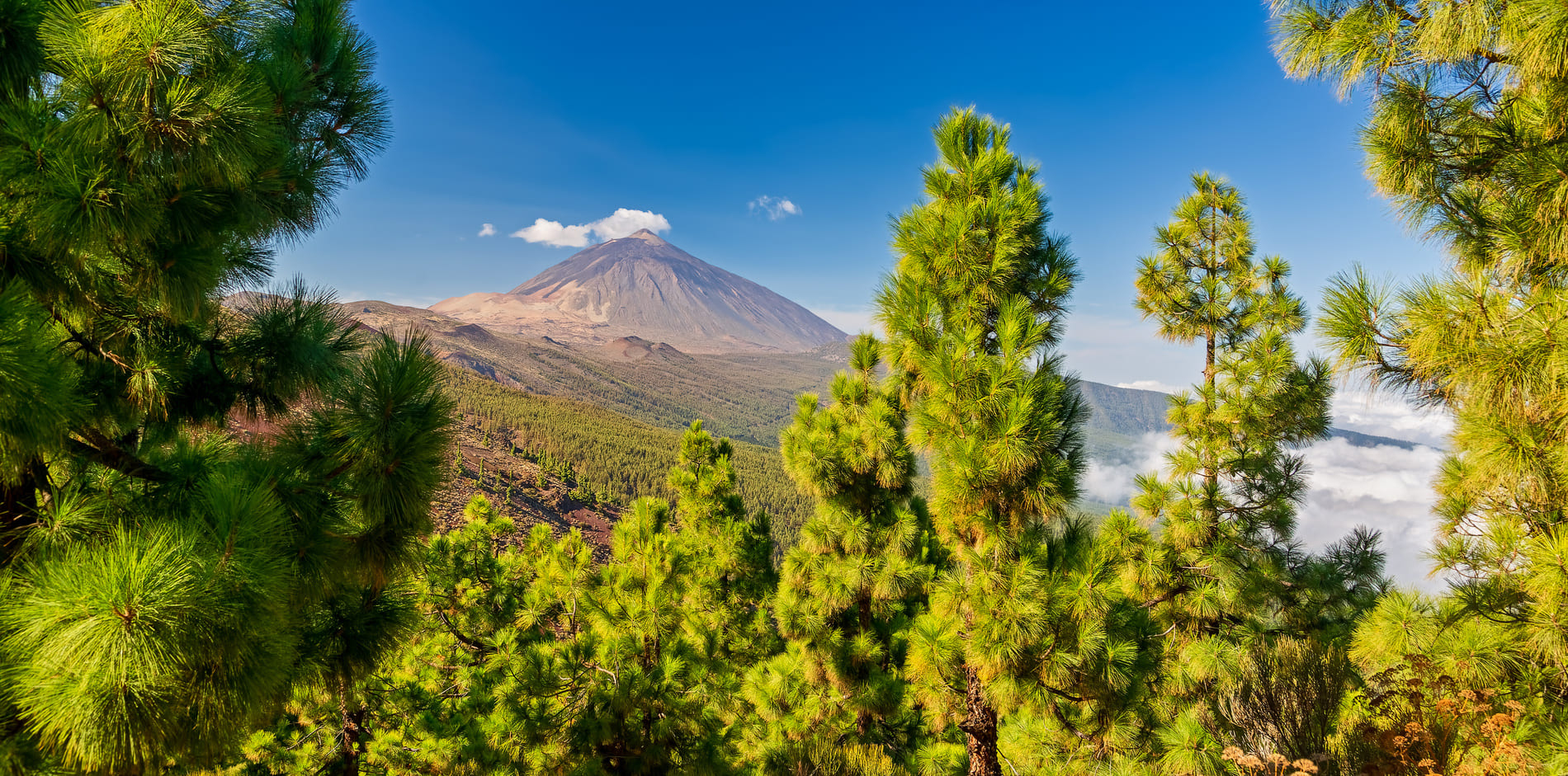Parc national du Teide