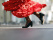 flamenco-espagne