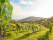 vigne-espagne